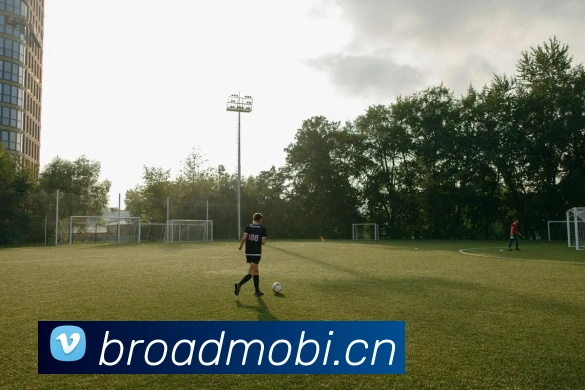 开云官网APP 体育赛事宣传图